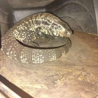 Review #232239, image #2