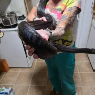 Review #231977, image #5