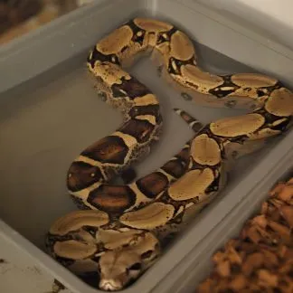 Review #231977, image #3