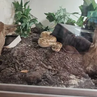 Review #232264, image #2