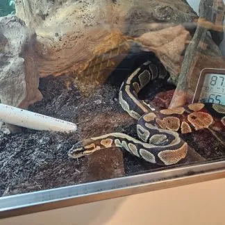 Review #232264, image #1