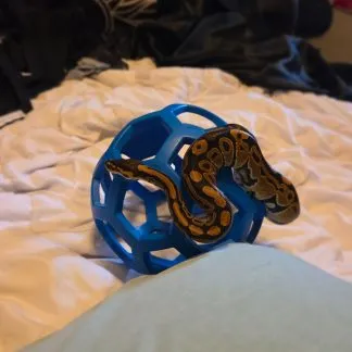 Review #232971, image #1