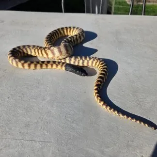 Review #232269, image #1