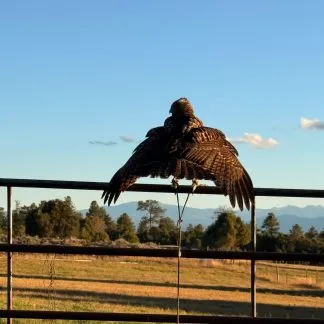 Review #232250, image #1