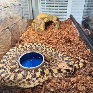 Review #232665, image #2