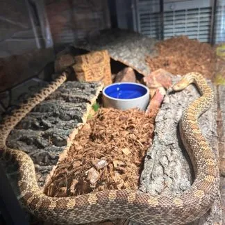 Review #232665, image #1