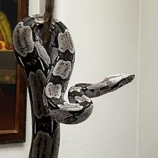 Review #233573, image #1