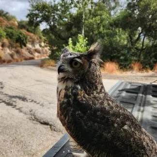 Review #232982, image #1