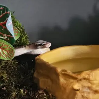 Review #233699, image #1