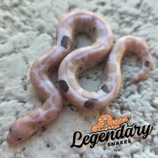 Review #233725, image #3