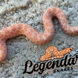 Review #233725, image #1