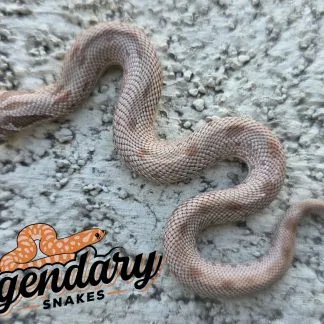 Review #233725, image #2