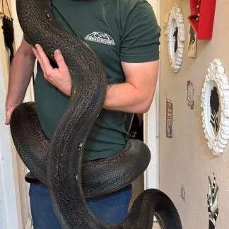 Review #235696, image #1