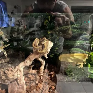 Review #234769, image #2