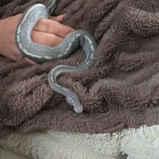 Review #236314, image #1