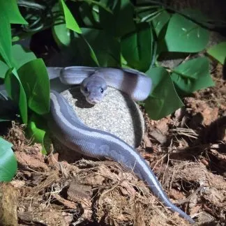 Review #236314, image #2