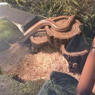 Review #237464, image #3