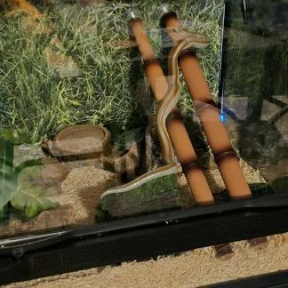 Review #237464, image #1