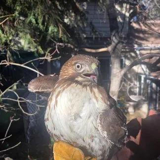 Review #237202, image #1