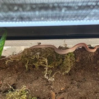 Review #237460, image #1