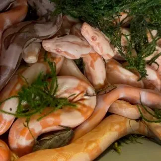 Review #237096, image #1