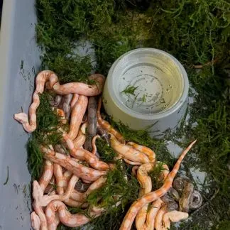 Review #237096, image #2