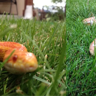 Review #238911, image #1