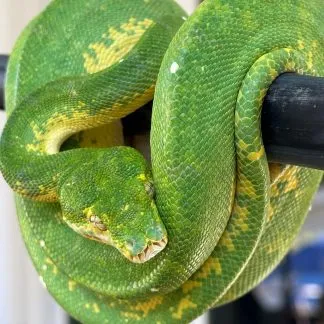 Review #239091, image #2