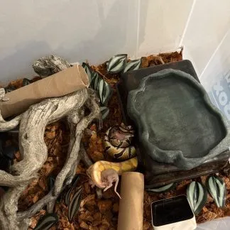 Review #245997, image #1