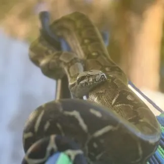 Review #239807, image #1