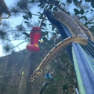 Review #239807, image #2