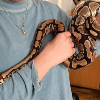 Review #239492, image #1