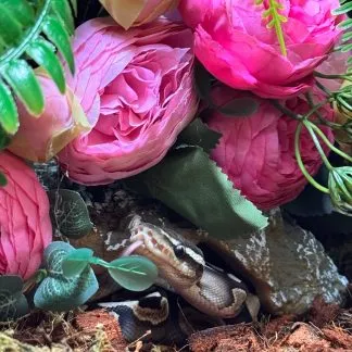 Review #245162, image #1