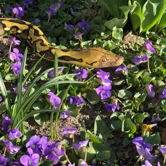 Review #239807, image #5