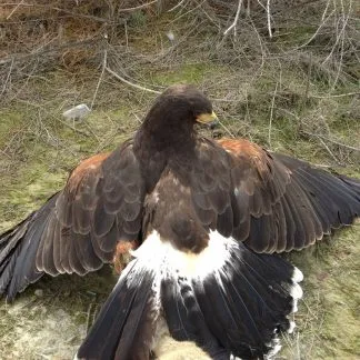 Review #245680, image #1