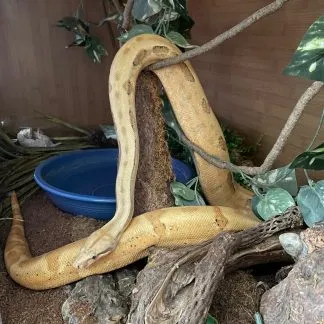 Review #239795, image #3