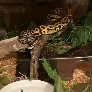 Review #239194, image #2