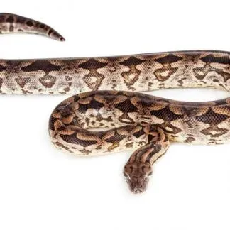 Review #240060, image #1