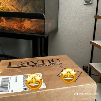 Review #250673, image #1