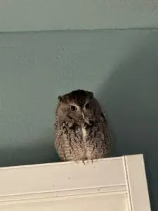 Site Reviews Image